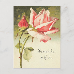 Vintage Rose Spara datum Meddelande Vykort