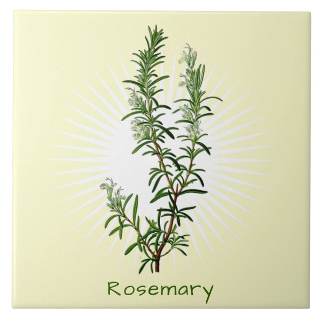Vintage Rosemary Herb Botanical Art Ceramic Tile Kakelplatta (Framsidan)