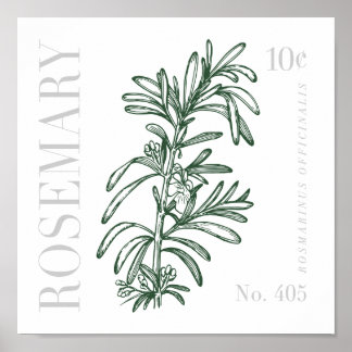 Vintage Rosemary Poster
