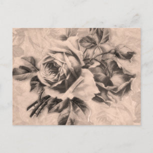 Vintage Rosor Sepia Vykort