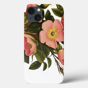 Vintage Rosor Vacker Rosa Botanisk