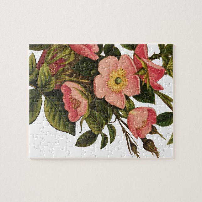 Vintage Rosor Vacker Rosa Botanisk Pussel (Horisontell)