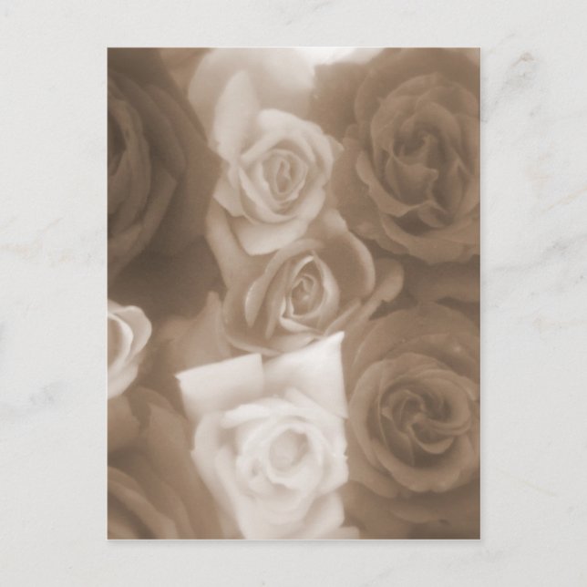 vintage rosor vykort (Framsida)