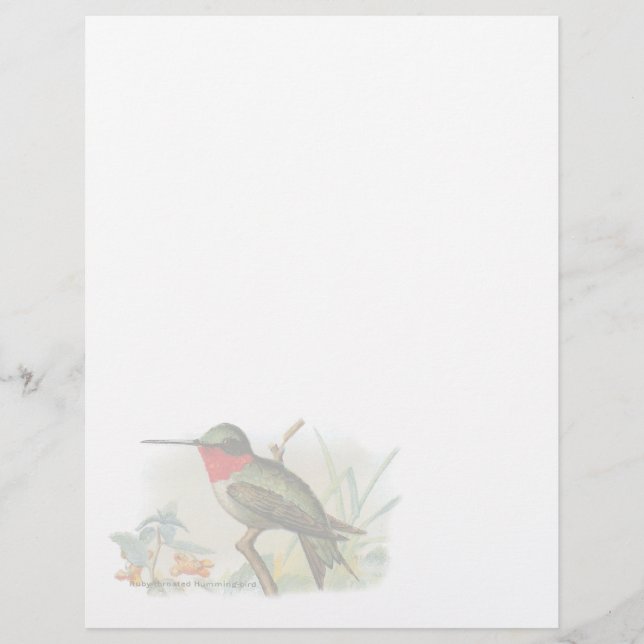 Vintage Ruby Throated Humming Bird Letterhead (Framsida)