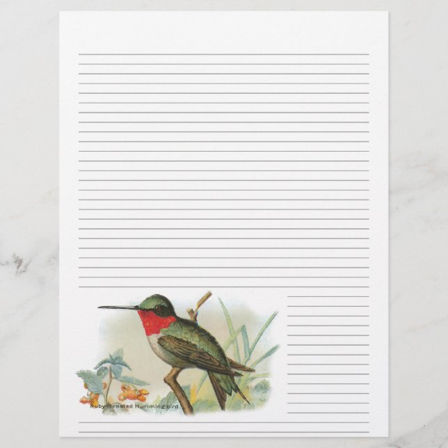 Vintage Ruby Throated Hummingbird Line Letterhead (Framsida)