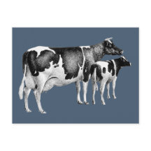 Vintage Rustic Farm Cow Calf Teckning Blue White