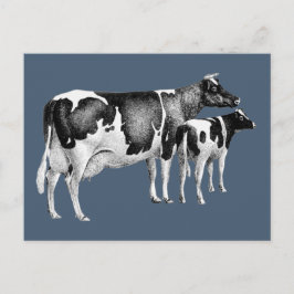 Vintage Rustic Farm Cow Calf Teckning Blue White Vykort