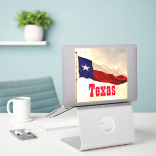 Vintage Rustic Stil Texas Flagga Sticker Klistermärken
