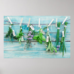 Vintage: Rustik turkosmur med herbaler Poster