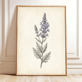 Vintage Rysk Salvia Botanisk Canvas Poster