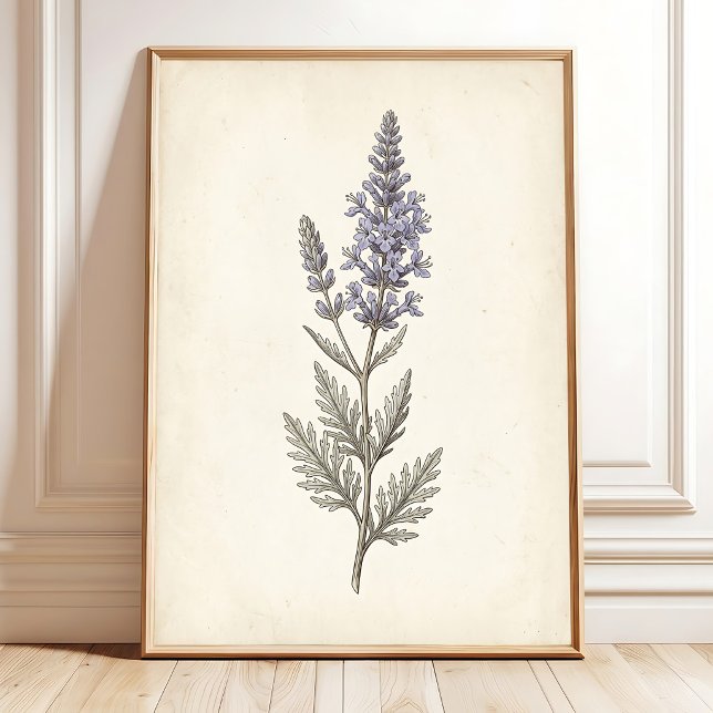Vintage Rysk Salvia Botanisk Canvas Poster (Skapare uppladdad)