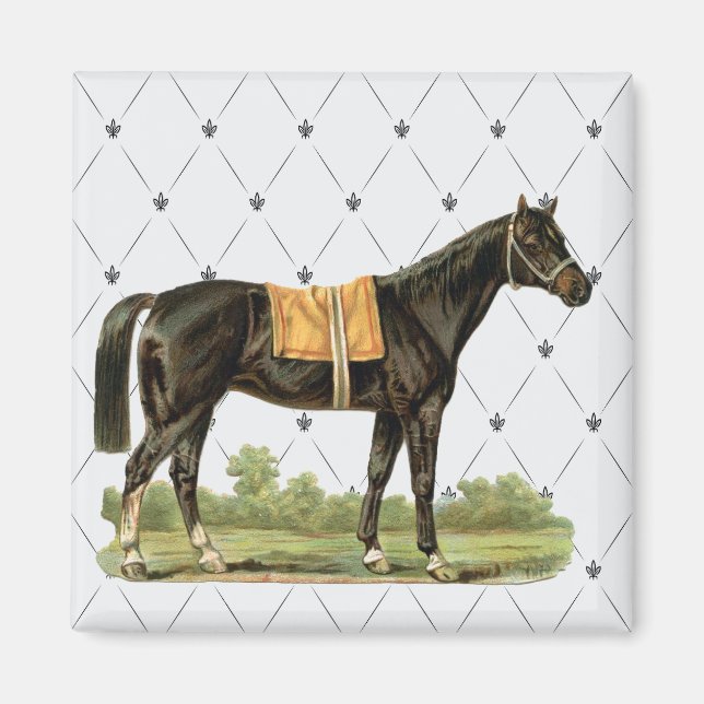 Vintage Saddle Horse Magnet (Framsidan)