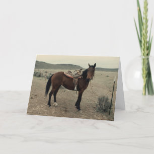 Vintage Saddled Horse Kort