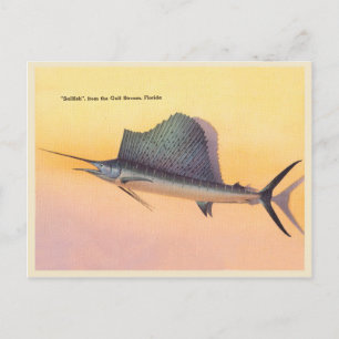 Vintage Sailfish-bild, bukt stream Florida Vykort