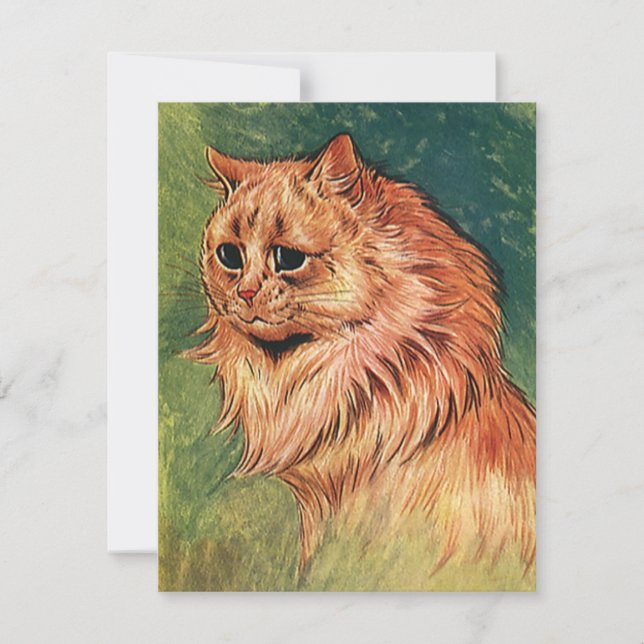 Vintage sällskapsdjur, långhårig orange katt (Framsida)
