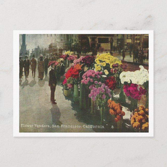 Vintage San Francisco Vykort (Framsida)