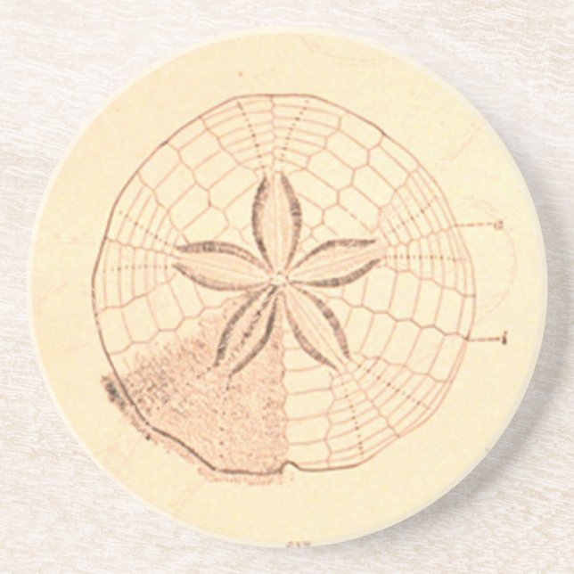 Vintage Sand Dollar Illustration underlägg (Framsidan)