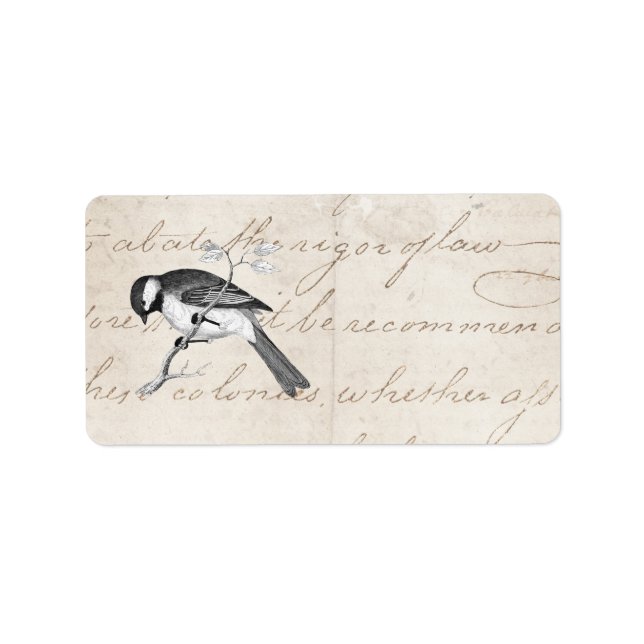 Vintage Sång Bird Illustration - 1800's Birds Text Adressetikett (Framsidan)