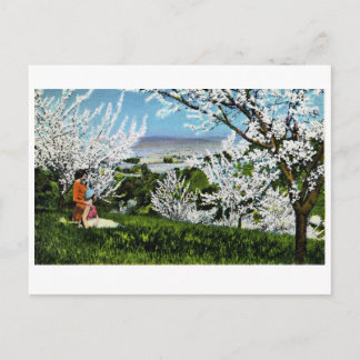 Vintage Santa Clara Valley Postcard Vykort