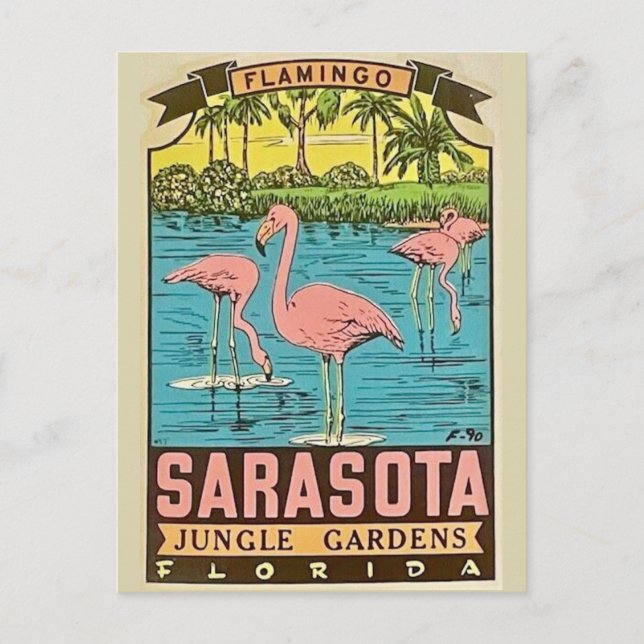 Vintage Sarasota Flamingo Card Vykort (Framsida)