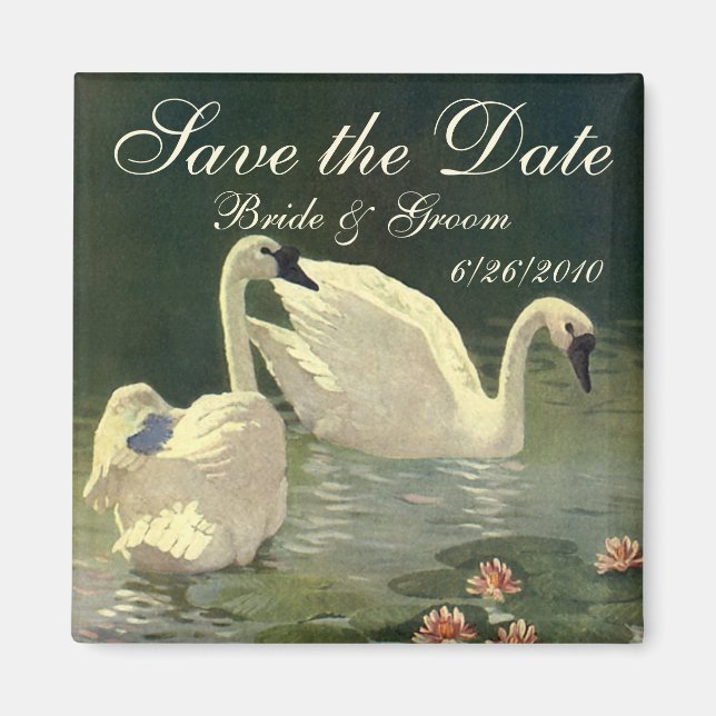 Vintage Save the Date! Vackra svanar simmar Magnet (Framsidan)