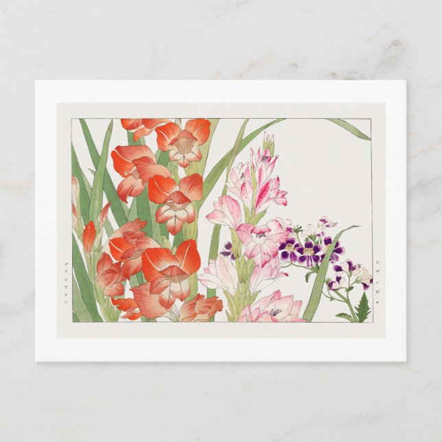 Vintage scabiosa & montbretia blomma, ukiyo e  vykort (Framsida)