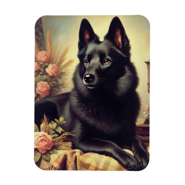 Vintage Schipperke-Hund Magnet (Vertikal)