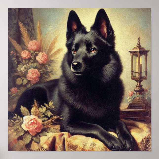 Vintage Schipperke-Hund Poster (Framsidan)