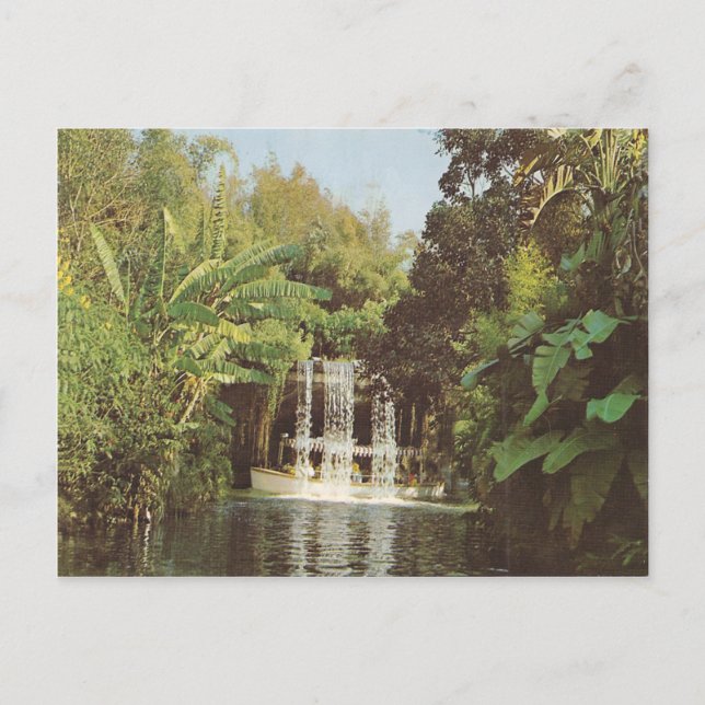 Vintage Schweitzer Falls Vykort (Framsida)