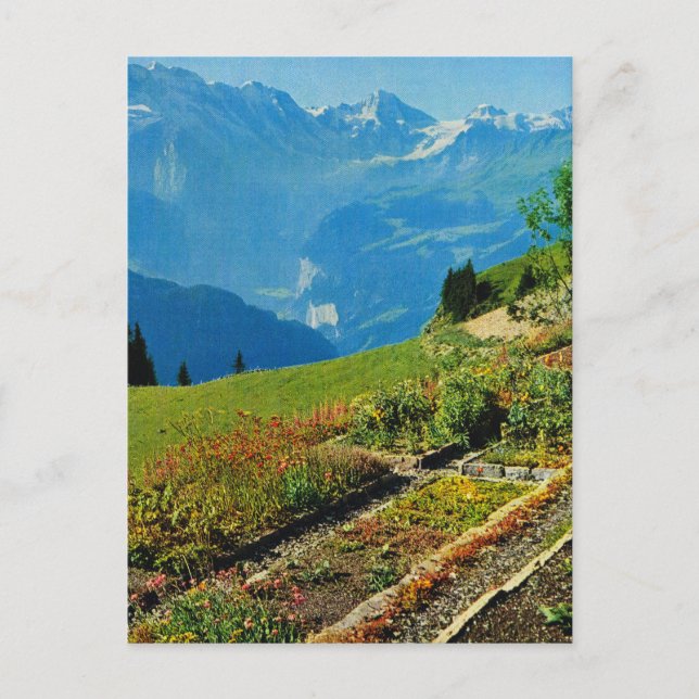 Vintage Schweiz, Schynigge Platte, 1909 9 Vykort (Framsida)