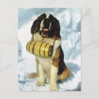 Vintage Schweiz St Bernard hund med brandy