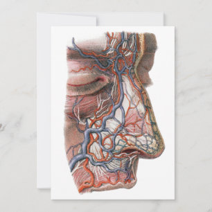 Vintage Science Human Anatomy, Ansikte med Nose