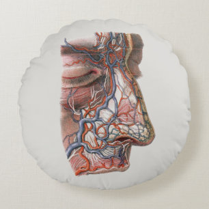 Vintage Science Human Anatomy, Ansikte med Nose Rund Kudde