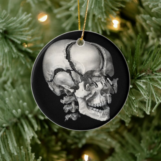 Vintage Science Human Anatomy, Antique Skull Julgransprydnad Keramik (Träd)