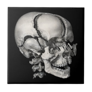 Vintage Science Human Anatomy, Antique Skull Kakelplatta