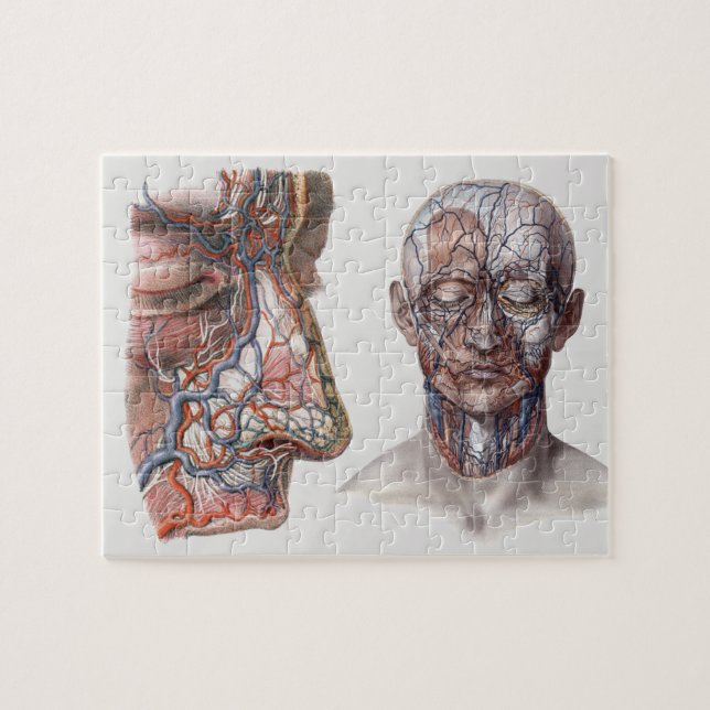 Vintage Science Human Anatomy Head och Ansikte Pussel (Horisontell)