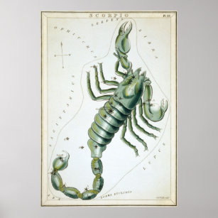 Vintage Scorpio Constellation Karta (1825) Poster