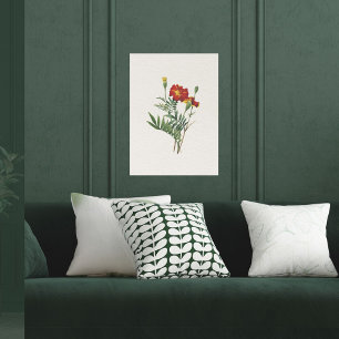 Vintage Se botaniskt marigolds Poster