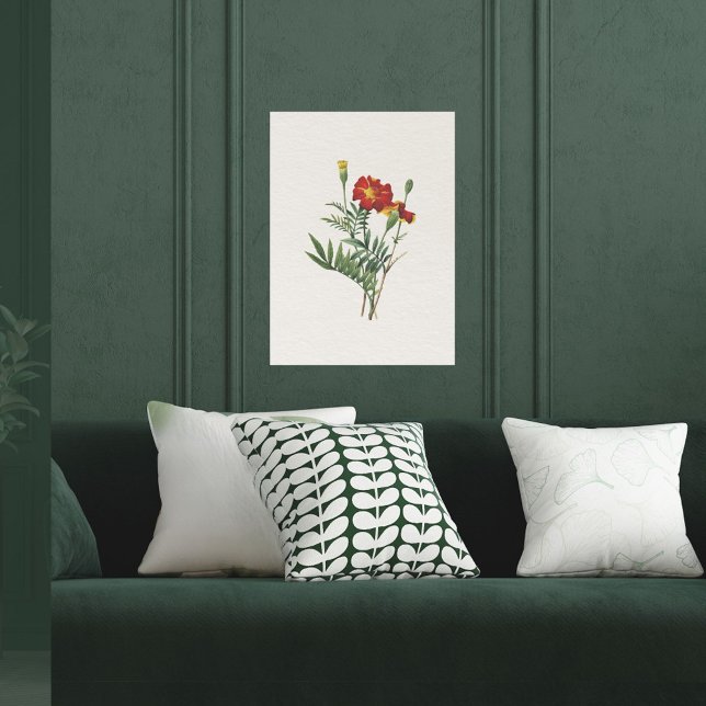 Vintage Se botaniskt marigolds Poster (Skapare uppladdad)