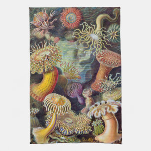 Vintage Sea Anemones, Actiniae, Ernst Haeckel Kökshandduk