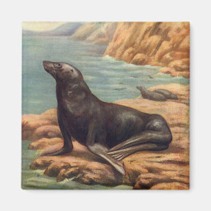 Vintage Sea Lejon av kusten, marina däggdjur Magnet