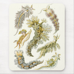 Vintage Sea Slugs och Snigel av Ernst Haeckel Musmatta