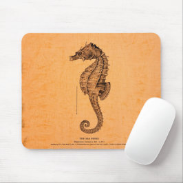 Vintage Seahorse Illustration Musmatta