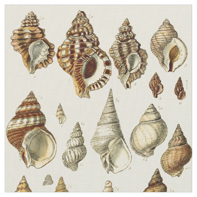 Vintage Seashell Illustrations Mönster Tyg (Närbild)