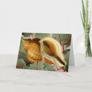 Vintage Seashell-mappat anteckningskort