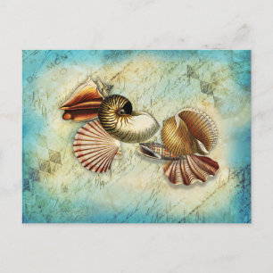 Vintage Seashell Ocean Blue Vykort