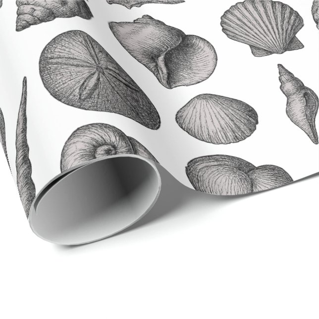 Vintage Seashell Ocean Nature Sketch Pattern Presentpapper (Rullad Hörn)