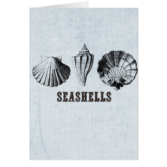 Vintage Seashells Hälsningskort (Framsidan)