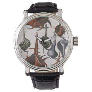 Vintage Seashells, havslevande Snäckor Armbandsur