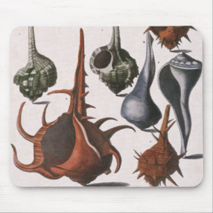 Vintage Seashells, havslevande Snäckor Musmatta